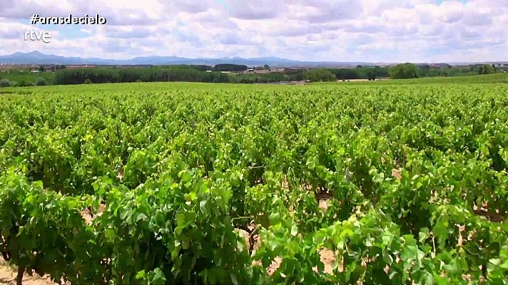 España a ras de cielo - El viñedo del mundo