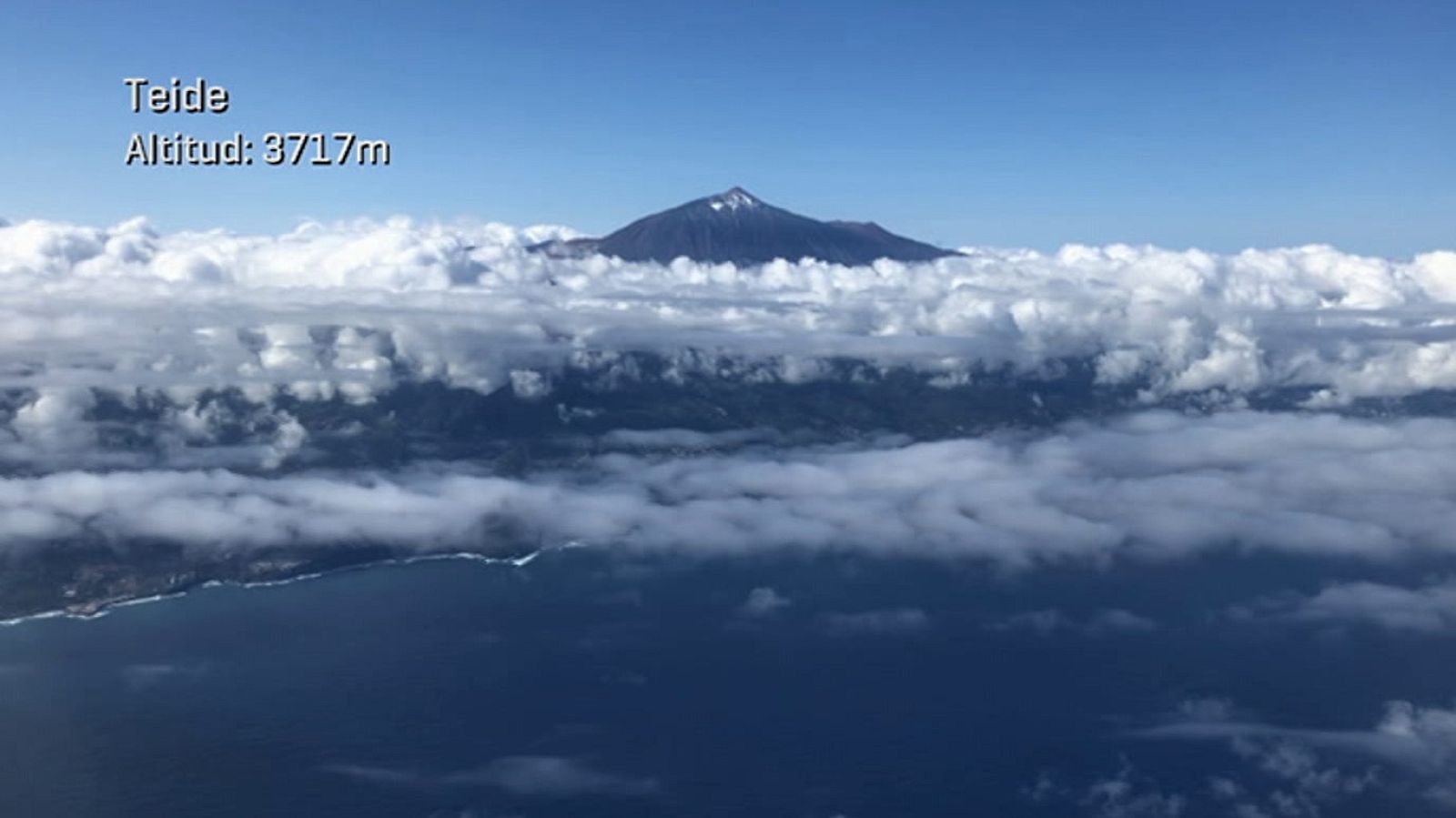 ¡Qué animal! - Episodio 7: Teide - ver ahora