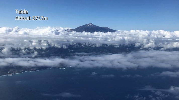 ¡Qué animal! - Teide