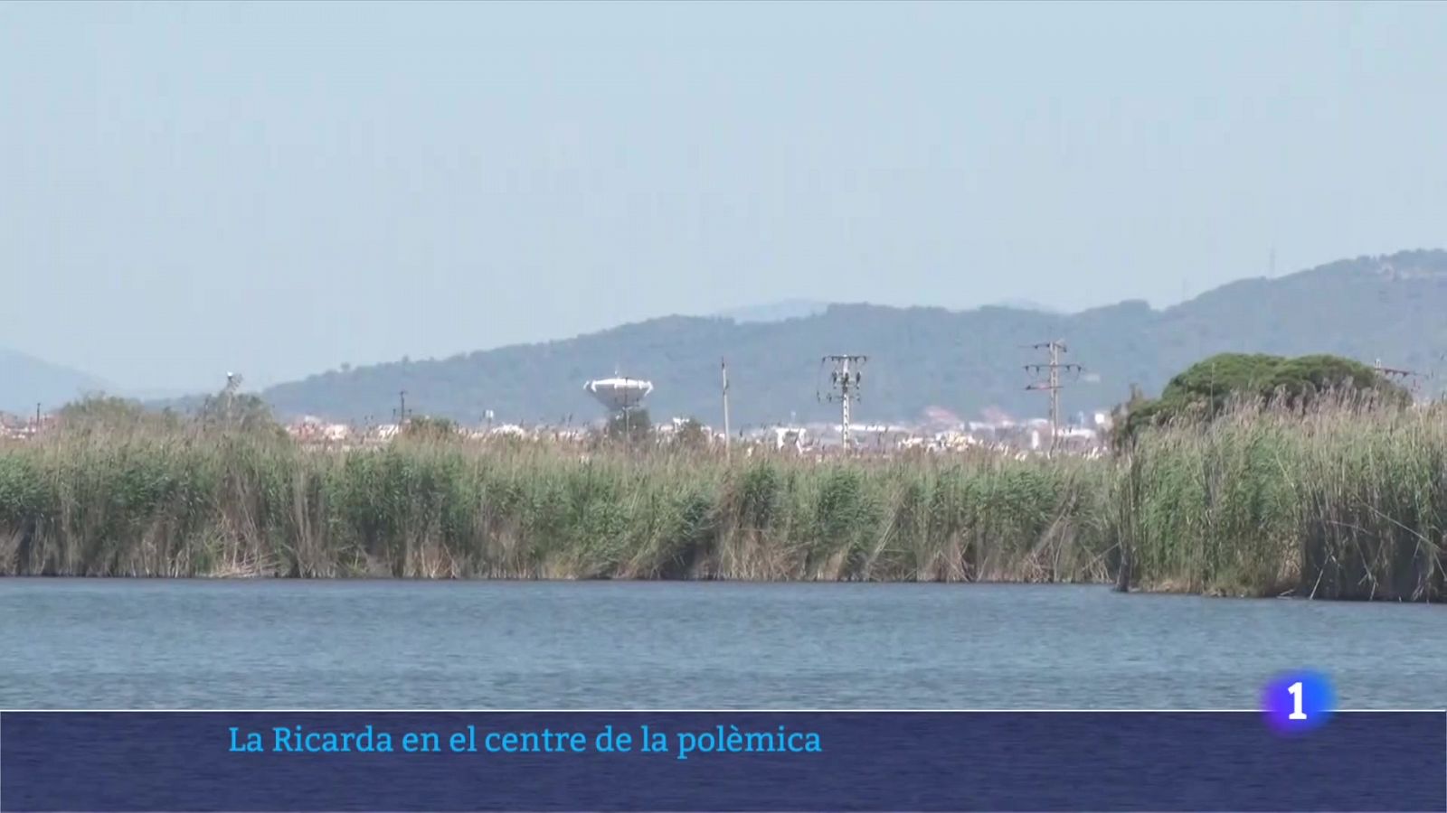 La Generalitat no avalarà cap proposta d'ampliació de l'aeroport del Prat que afecti la llacuna de la Ricarda