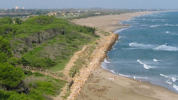 El golfo de Rosas. La fijación de las dunas