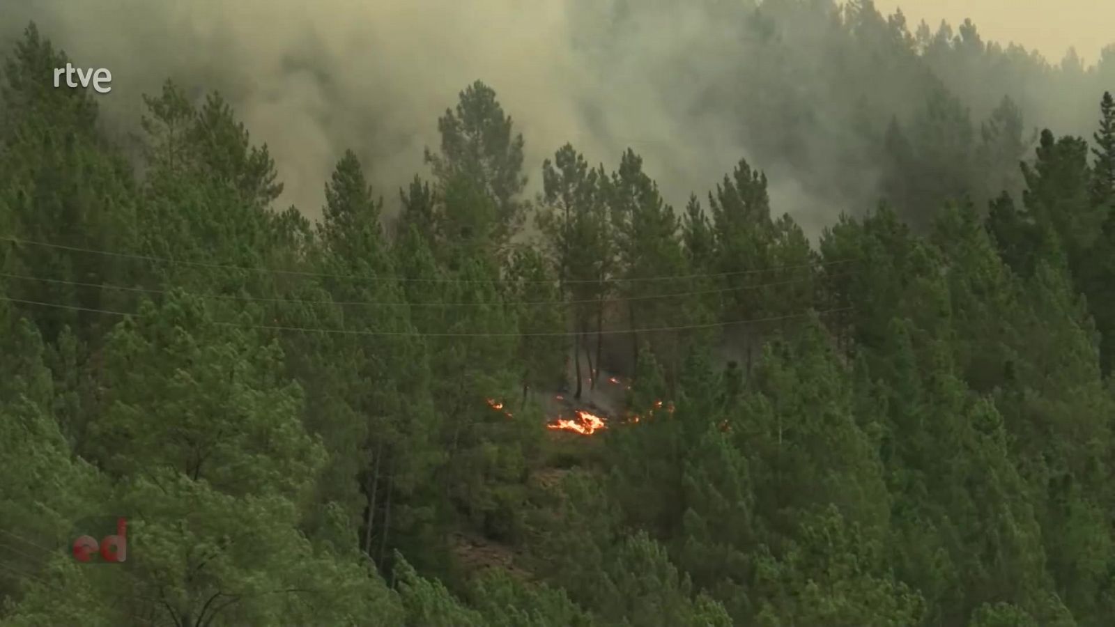 España Directo - 06/09/21 - ver ahora