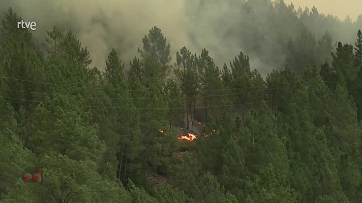 España Directo - España Directo - 06/09/21