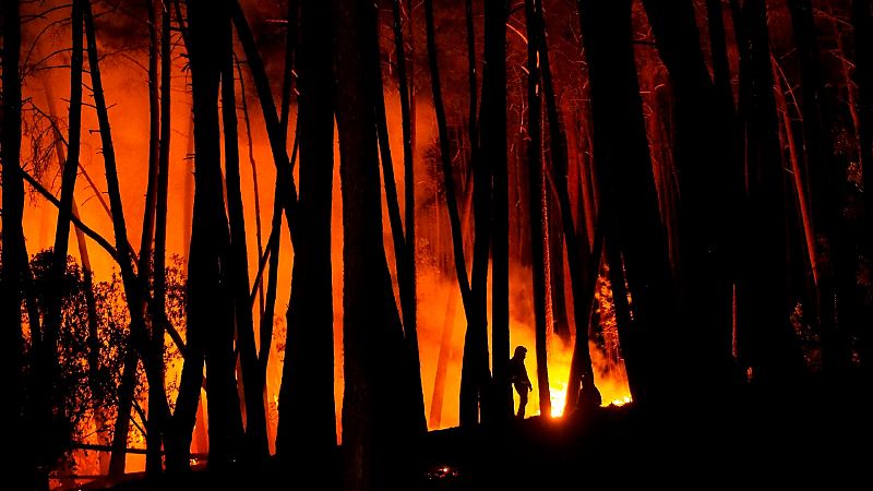El incendio de la Ribeira Sacra arrasa más de 1.400 hectáreas y la Xunta de Galicia cree que fue intencionado