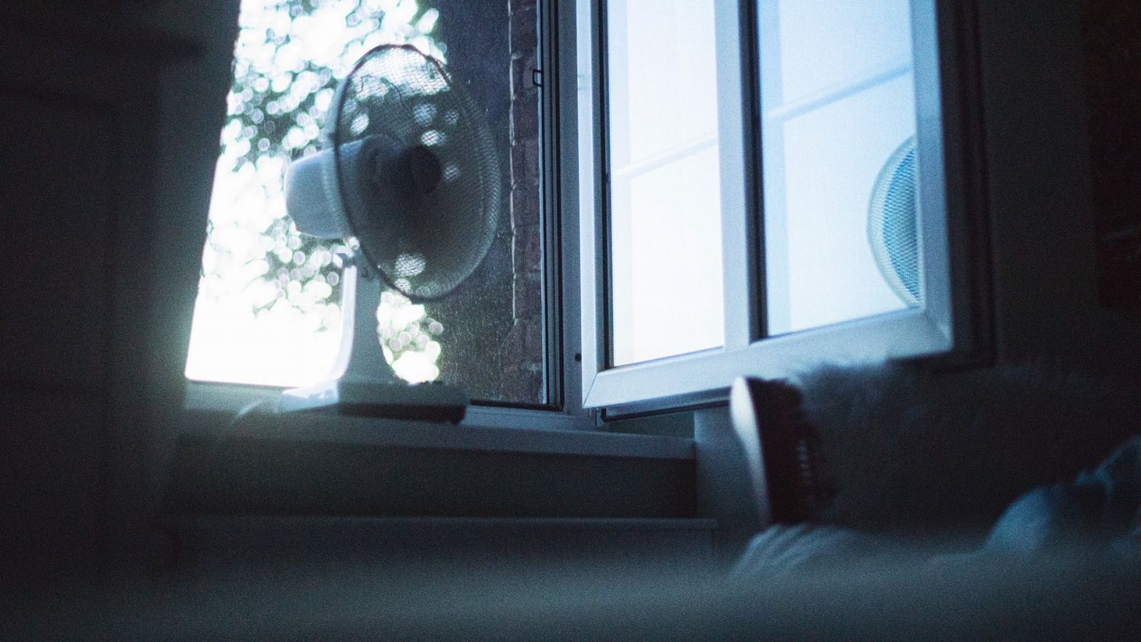 País Vasco registra la noche más calurosa del año - Ver ahora