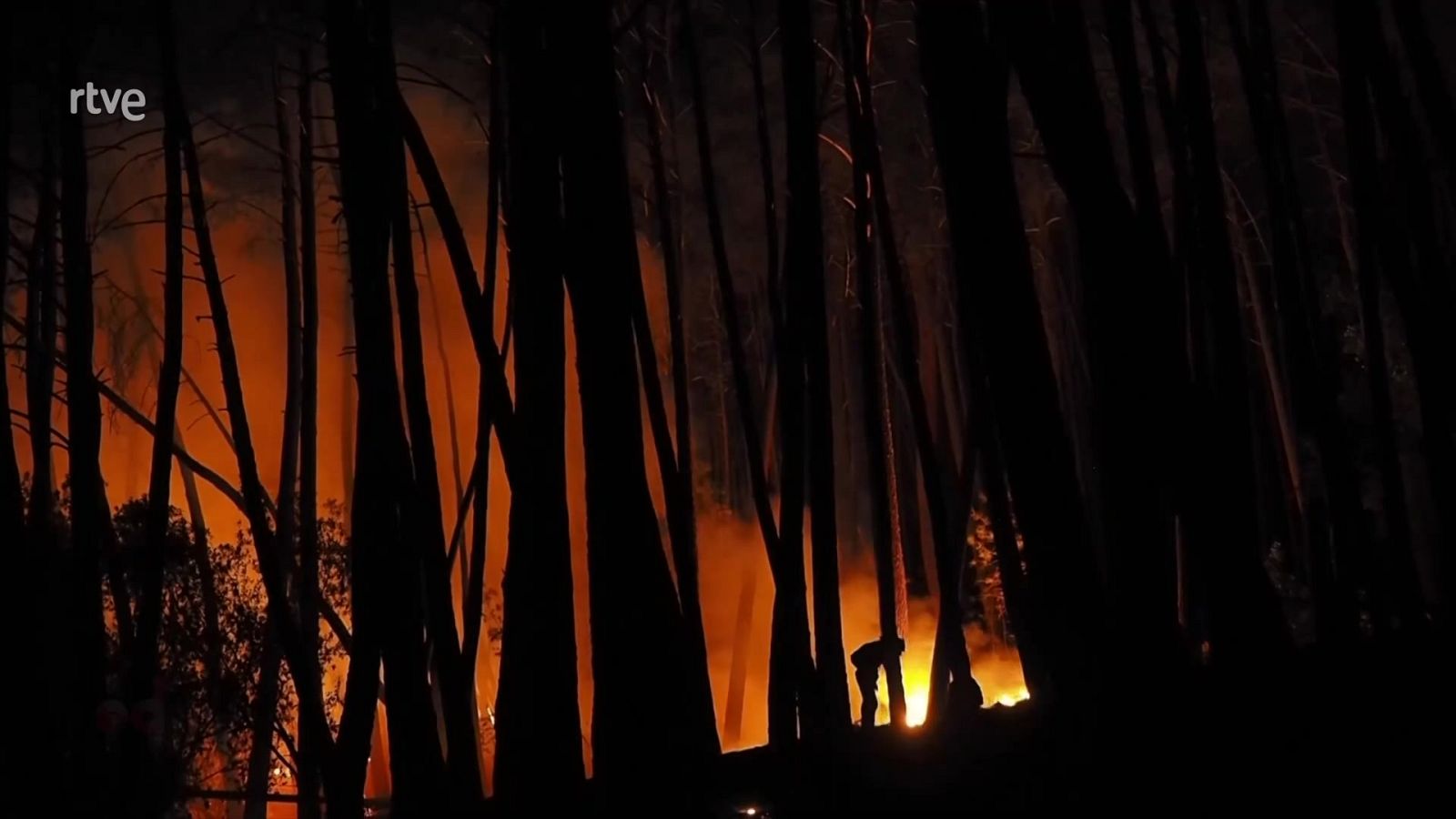 España Directo - 07/09/21 - ver ahora