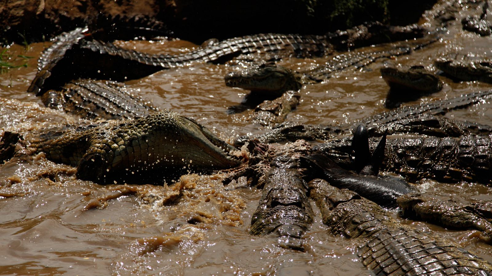 Supersentidos - Episodio 2: Superpoderes - ver ahora