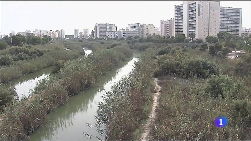 L'Informatiu Comunitat Valenciana 2 - 09/09/21 ver ahora