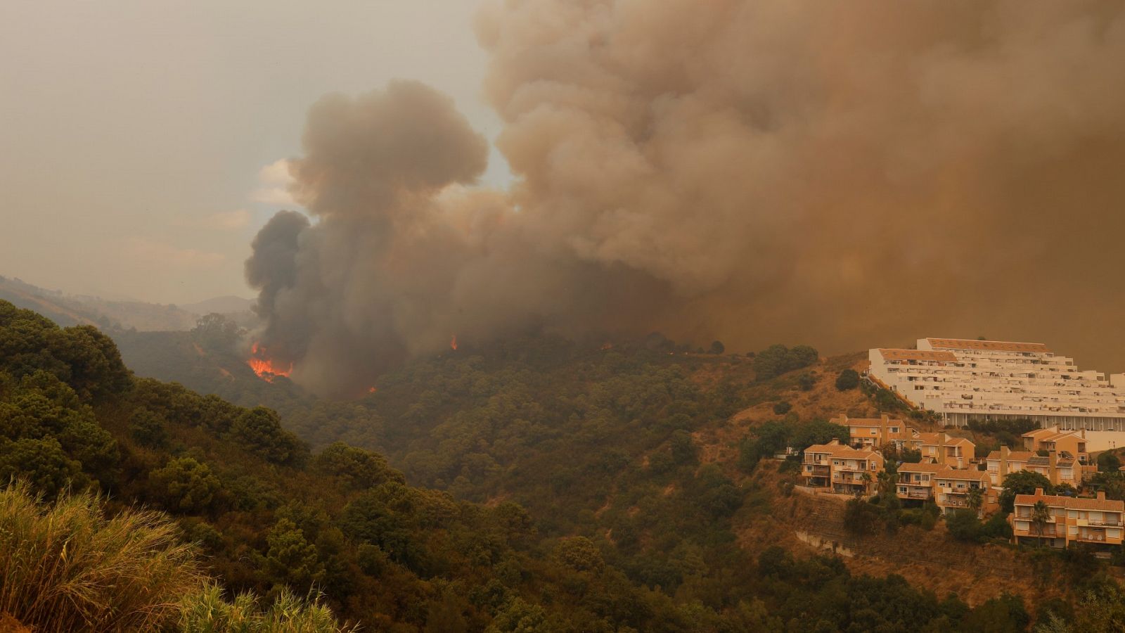 Muere un bombero forestal en el incendio de Sierra Bermeja
