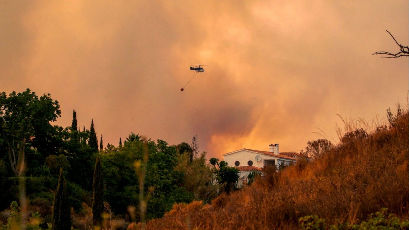 Diario 24 - 10/09/21 (1) - ver ahora