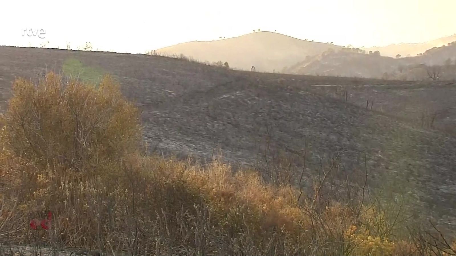 España Directo - 10/09/21 - ver ahora