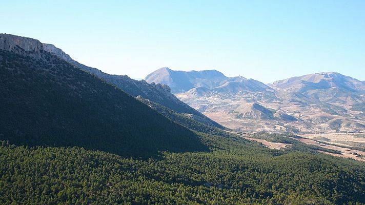 La Sierra de María los Vélez: el bosque de Umbría