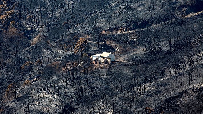 El incendio en Sierra Bermeja podría ser intencionado