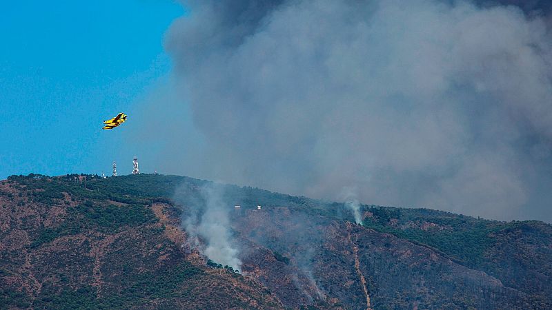 41 medios aéreos y medio millar de efectivos por tierra combaten el incendio de Sierra Bermeja