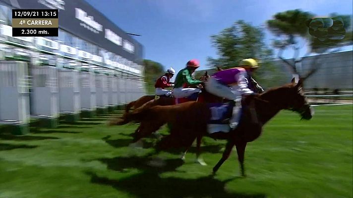 Carreras de caballos. Hipódromo de La Zarzuela