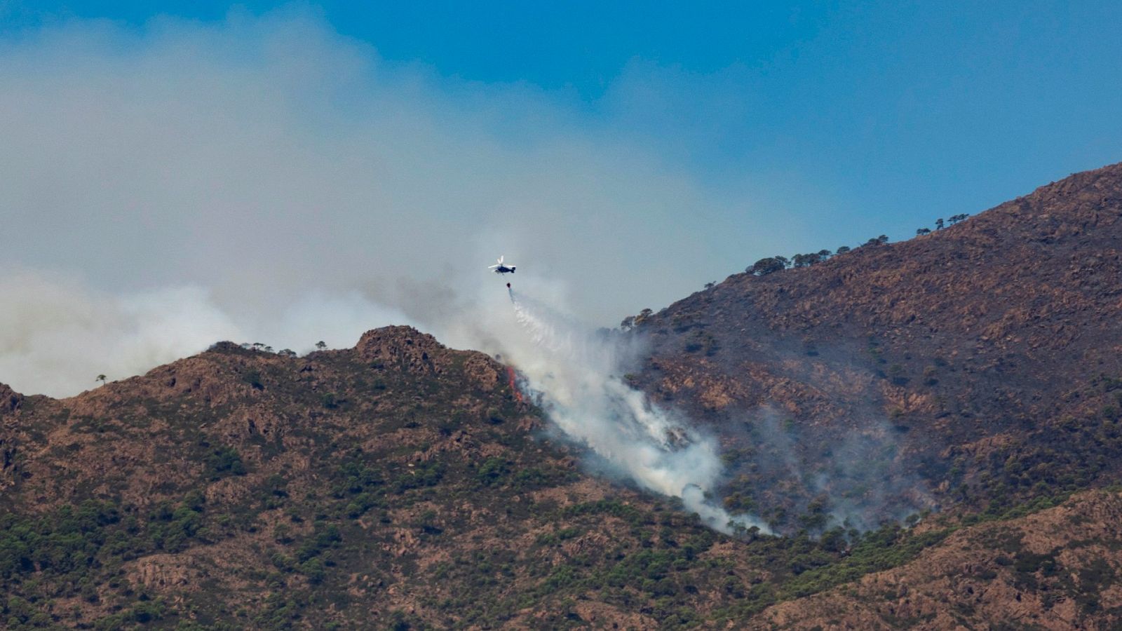 Málaga | El incendio de Sierra Bermeja no da tregua