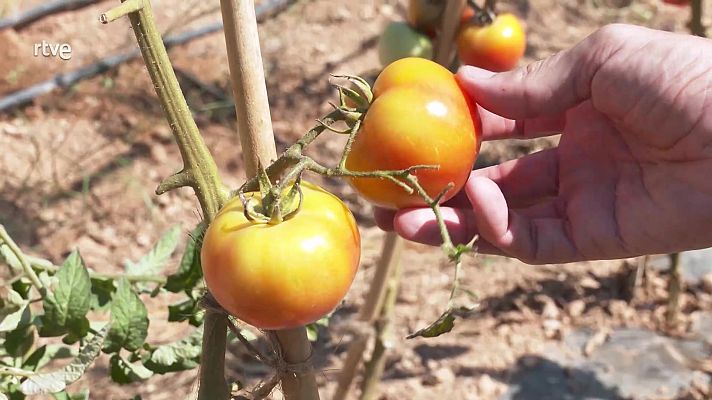 Aquí la Tierra - Aquí la Tierra - 12/09/21