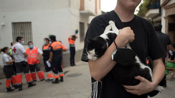 Telediario Fin de Semana - Telediario 2 en 4' - 12/09/21