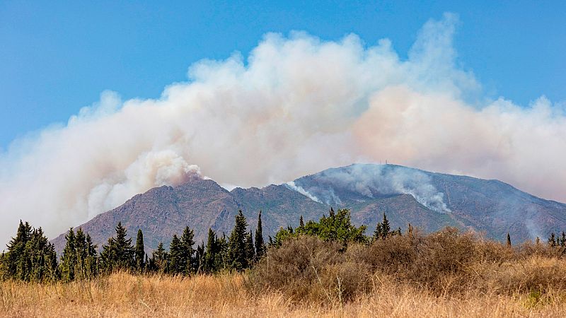 El incendio de Sierra Bermeja es agresivo y con su propia dinámica de propagación