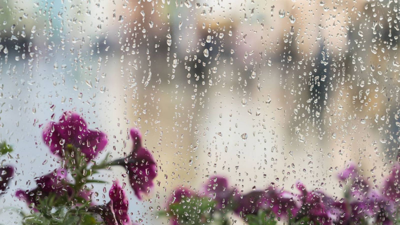 Descanso notable de las temperaturas y cielos nubosos para este lunes