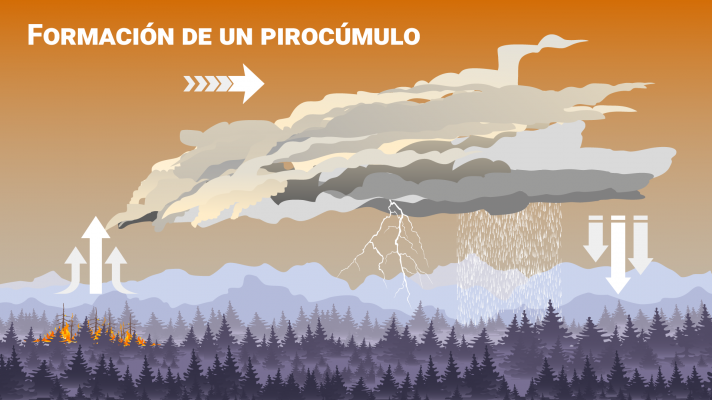 Pirocúmulo: el fenómeno que dificulta el incendio de Málaga