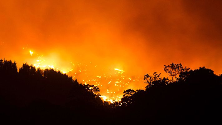 Telediario 1 - Telediario 1 en 4' - 13/09/21