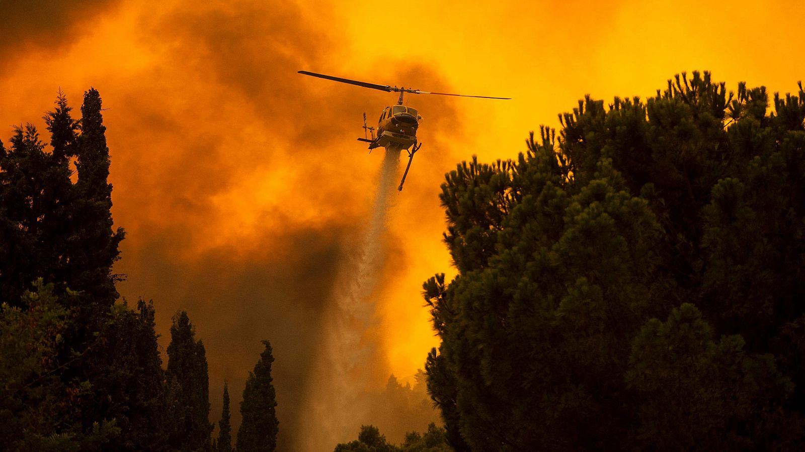 Sierra Bermeja, el primer incendio de "sexta generación" en España