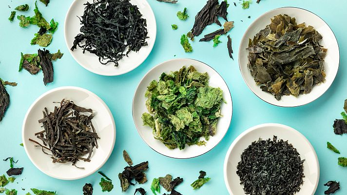 Aquí la Tierra - Aprendemos a recolectar y cocinar algas