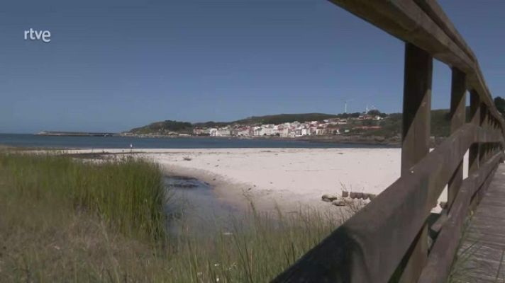 Aquí la Tierra - Aprendemos a recolectar y cocinar algas