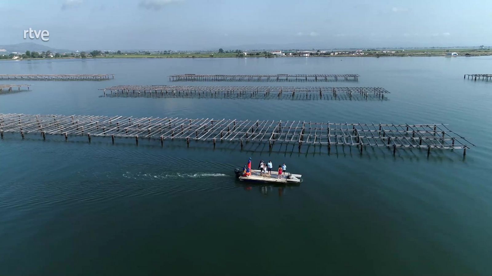 Visitamos los criaderos de mejillones en el Delta del Ebro