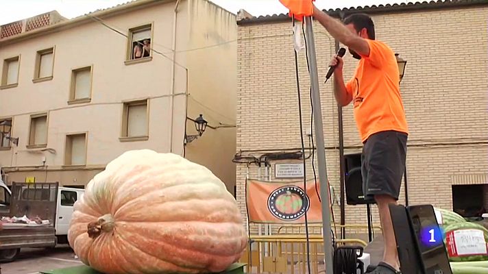 Calabazas Gigantes en Valtierra