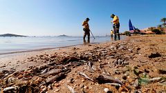 Crónicas - En nombre del Mar Menor