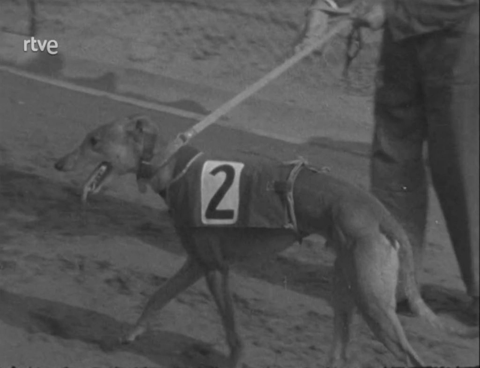 Arxiu TVE Catalunya - Imatges de notícies del 1962