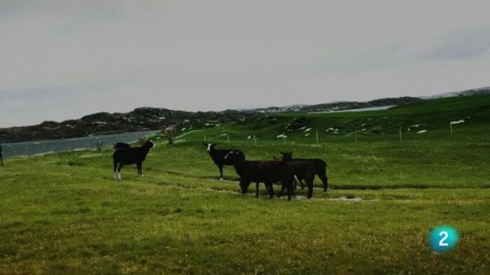 Días de cine - Días de cine - Festival 3XDOC