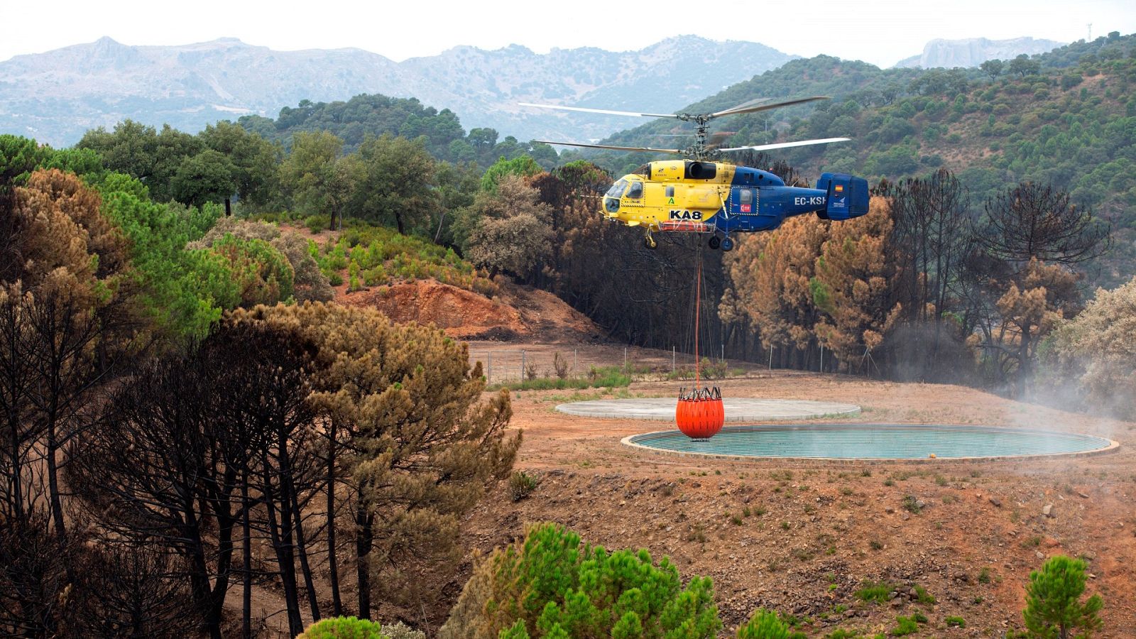 El incendio de Sierra Bermeja queda controlado y los vecinos vuelven a sus casas - Ver ahora