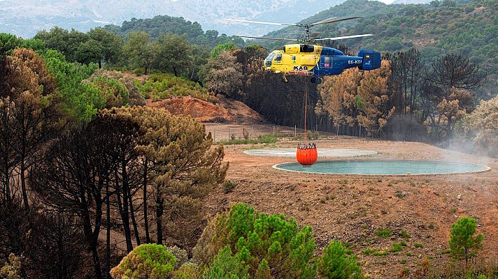 Telediario 1 - Los agentes forestales investigan si el incendio de Sierra Bermeja fue intencionado