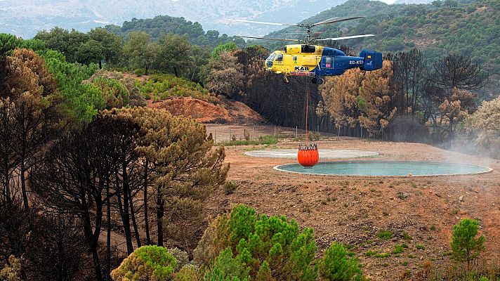 Los agentes forestales investigan si el incendio de Sierra Bermeja fue intencionado