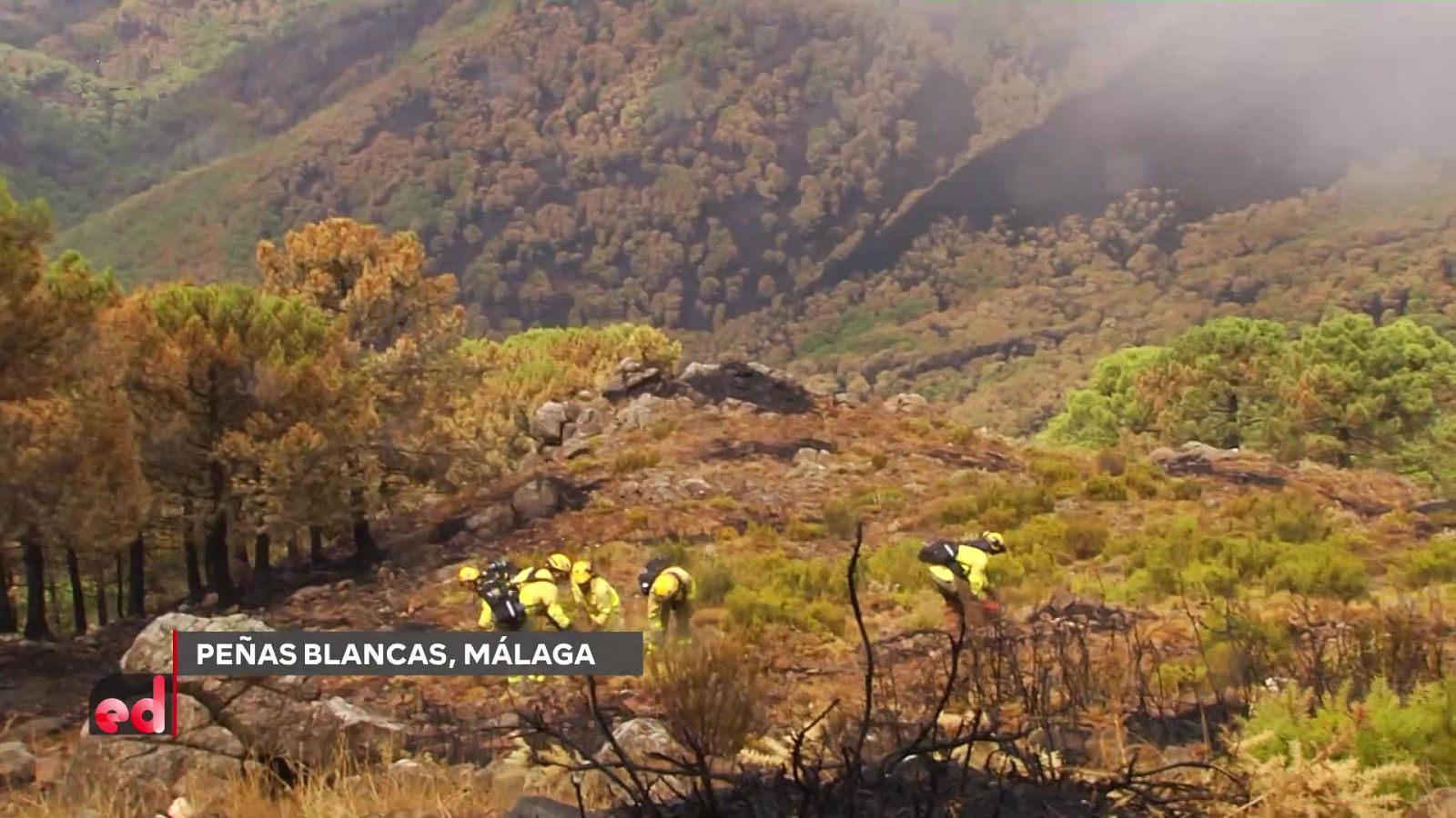 España Directo - 15/09/21 - ver ahora