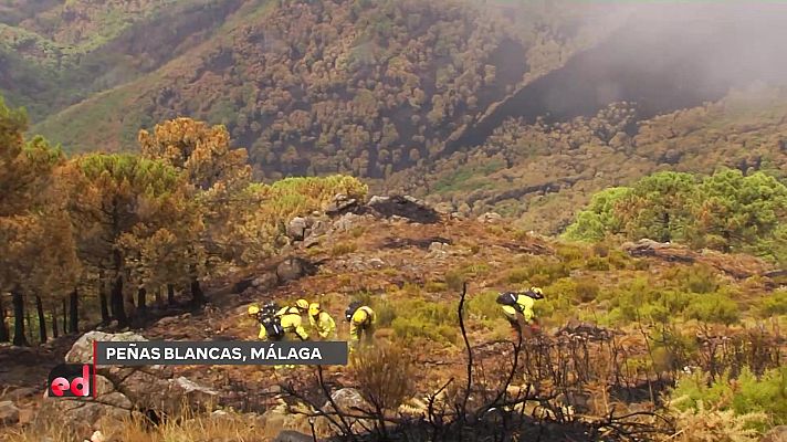 España Directo - España Directo - 15/09/21