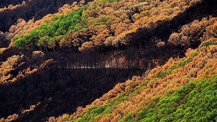 Los bomberos tratan de sofocar los puntos calientes del incendio de Sierra Bermeja   