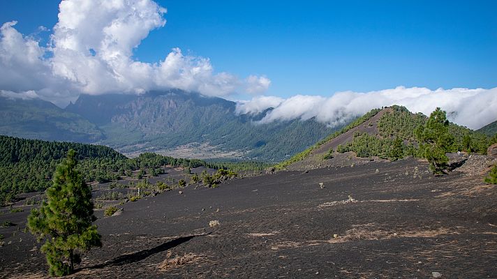 La tarde en 24h - Sergio Rodríguez, alcalde de El Paso, localidad de La Palma: "No hay riesgos para la población"