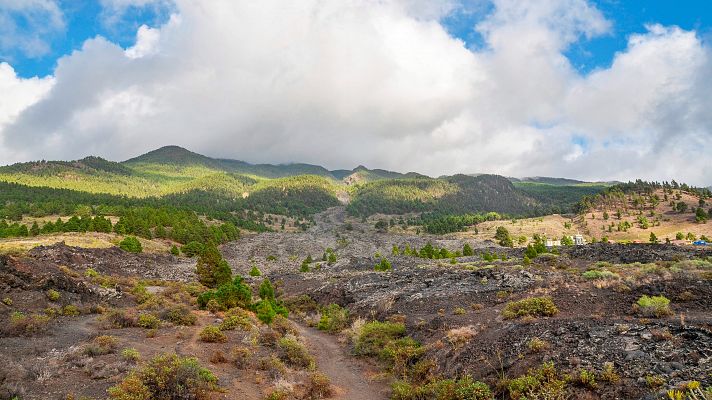 La intensidad sísmica sigue descendiendo en La Palma, aunque no se descarta una posible erupción