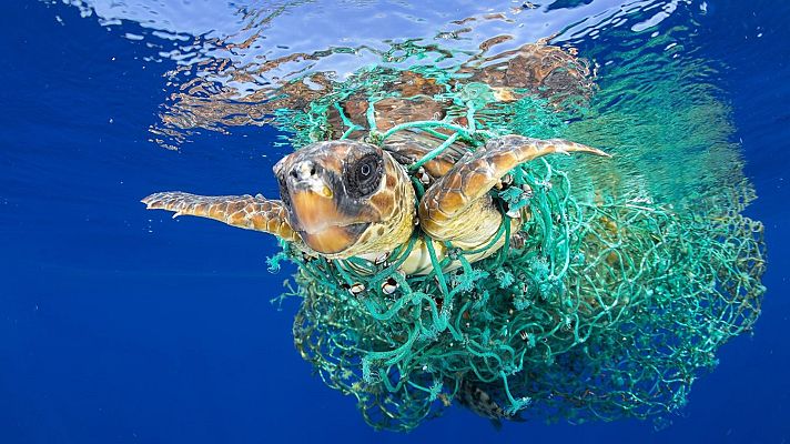 Para todos La 2 - Para todos La2 - 18/09/21