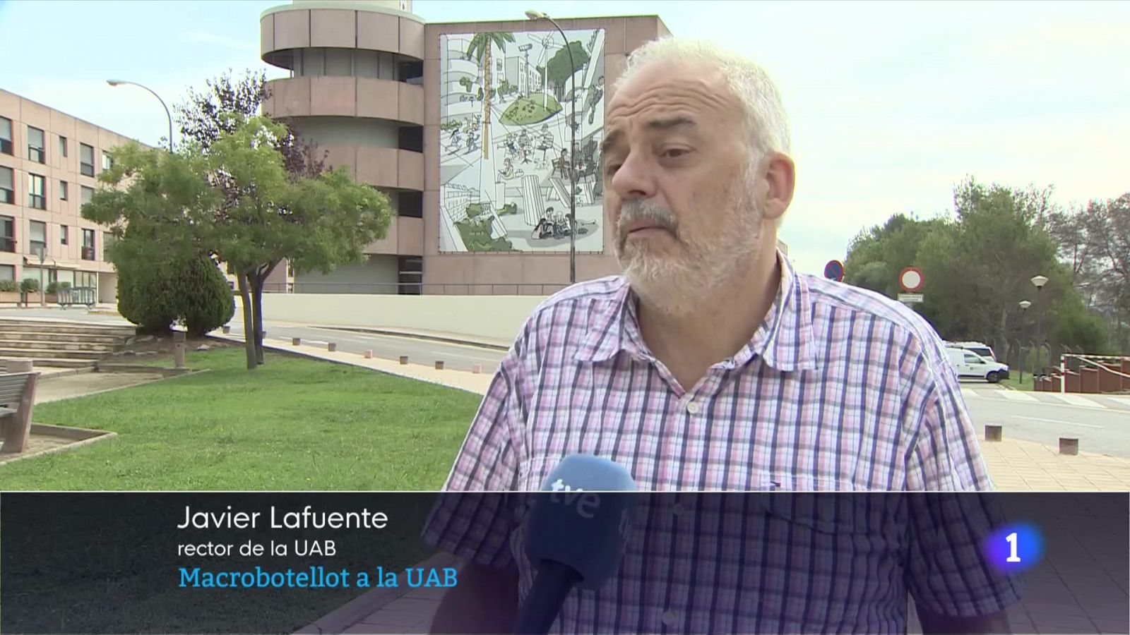 Amb la millora de la pandèmia tornen les conductes irresponsables