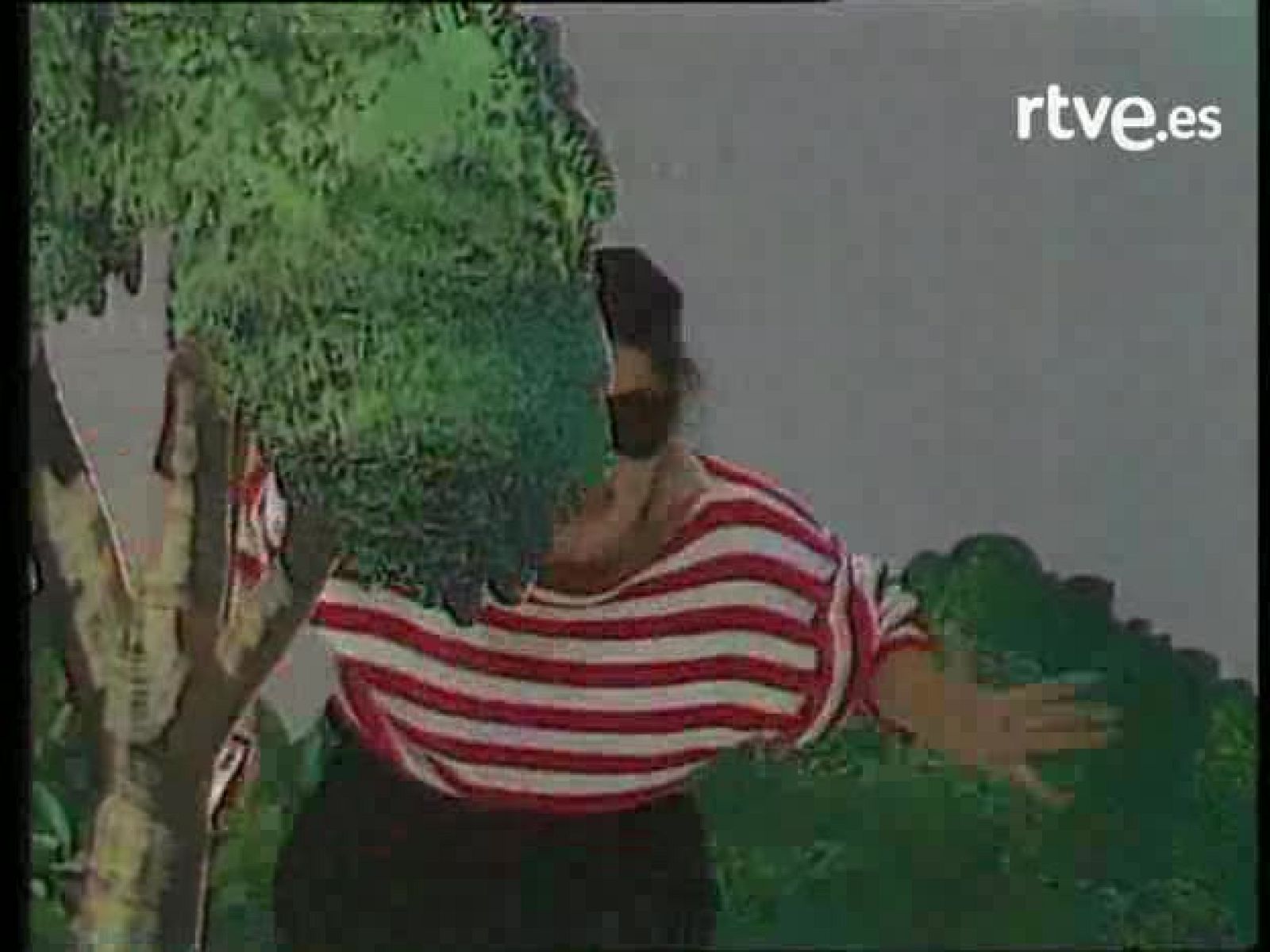 Bola de cristal - La cuarta parte: The Traka 'Madera de madero'' | Ver