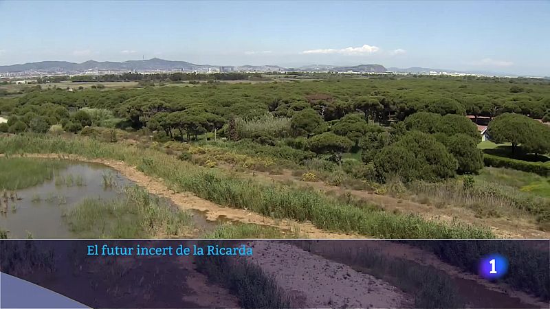 El futur de la Ricarda, a l'aire