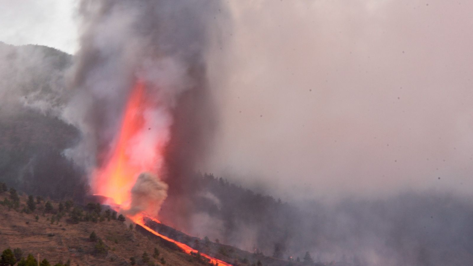 IGN: "Son millones de metros cúbicos de magma los que están en el subsuelo y tendrán que salir"