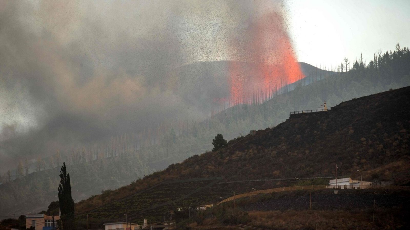 Así explica una experta cómo la lava se abre paso en el volcán de La Palma - Ver ahora