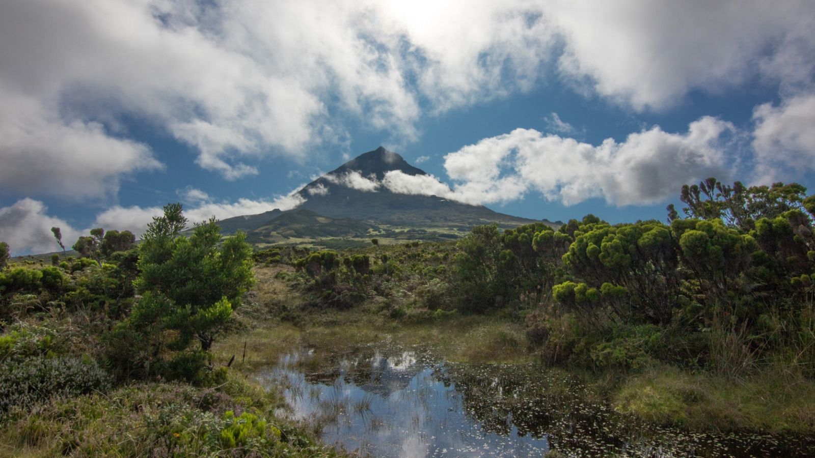 Somos documentales - Las Azores, un jardín en el corazón del océano - ver ahora