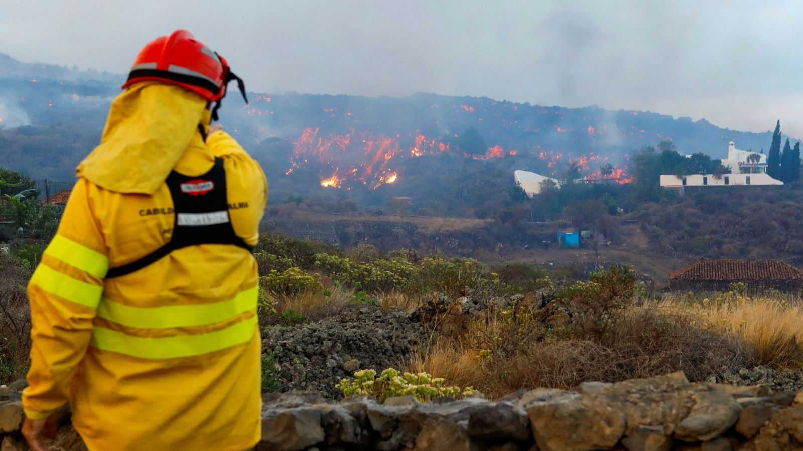 Miguel Angel Morcuende, director de Pevolca: "No nos planteamos nuevas evacuaciones" - La hora de La 1 | Ver